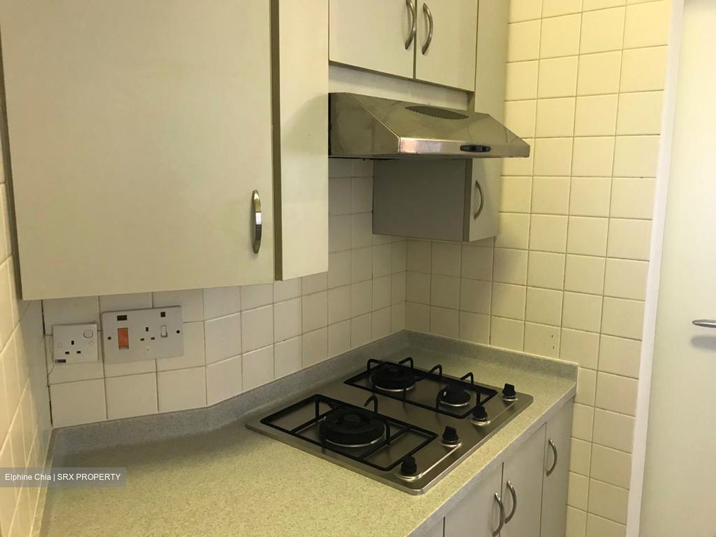 Bayshore Park (D16), Condominium #357615721